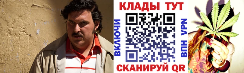 Продажа наркотиков Новомичуринск Метадон  Гашиш  A PVP  Канабис  COCAIN 