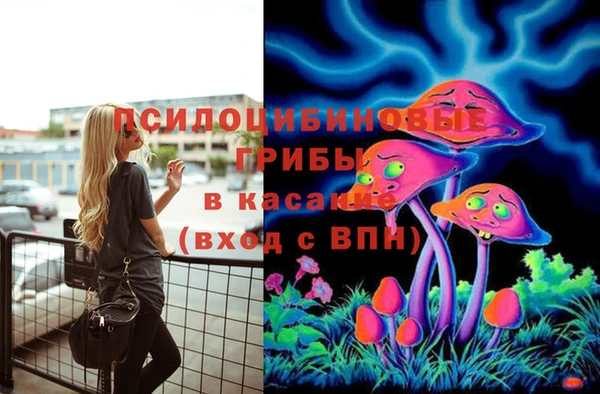 бутират Магадан